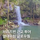 우림 | 호주 브리즈번 여행, 근교 열대 우림 &amp; 글로우웜 투어 후기