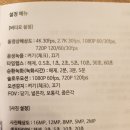 (내돈내산) 짭짭프로 에이스원 액션캠 SJ9000 추천 사용 후기 (4K 30fps, 60fps 차이)
