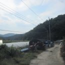 판문동-1 이미지