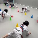 한국체대하나태권도장 이미지