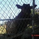 만땅농장 이미지