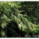 원산사우나 이미지