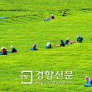 DUK농장 경향신문