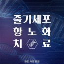 마디사랑병원 이미지