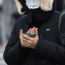 홍도축사 중앙일보