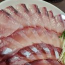 서울방어맛집내돈내산 목동역 횟집 옛날마차 솔직후기