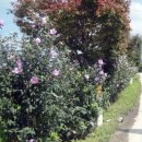 손병희선생 유허지 이미지