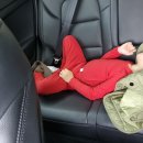 군불로관광농원 이미지