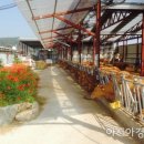 희망축산농장 이미지