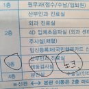 태동 | 36주 임산부 gbs검사 2차 태동검사 후기 환급 확인