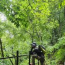 곰배령화원 이미지