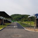 곤충나라 사과테마파크 오토캠핑장 이미지