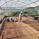 그늘막128 이미지