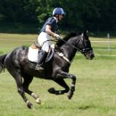 프리미어아레나승마클럽 이미지