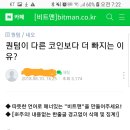 퀀텀 가격이 떨어진 이유 분석 글 .txt 이미지