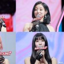 앨범이야기 이미지