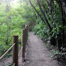 송능1리 이미지