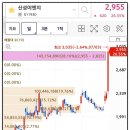 테라미장 이미지