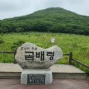 인제 Daum카페