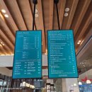 로카와 델피노1 | 고성 델피노 카페로카 / 더엠브로시아 둘 중 울산바위뷰 맛집은?