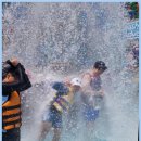 합기도 비호관 이미지