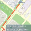 스텔라속눈썹