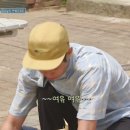 오브위트