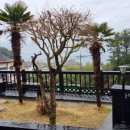 여울애견 이미지