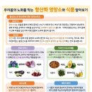 우리몸의 노화를 막는 황산화 영양소 와 식품알아보기 이미지