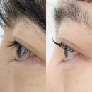 기아자동차카클리닉시흥점 | 시흥 대야동 속눈썹펌 정착! '문비' 클리닉펌으로 손상 없이 바짝 올린 후기 ✨