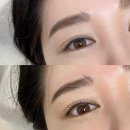 마이브로우 네이버블로그