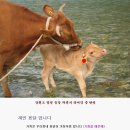 1톤 개인용달 소량이사 본인직접 배송(용인.수지.동백.수원.영통.동탄.분당.성남.판교) OlO-9O17-5735 이미지