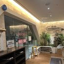 이해경유외과의원 | 원주 행구동 하니유외과의원 / 맘모톰 내돈내산 후기