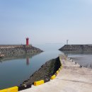 야생화 민박 이미지