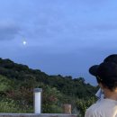 레이지박스 [제주 카페 추천] 산방산 아래에 위치한 뷰고 좋고, 분위기 좋은 카페 LAZY BOX (<b>레이지</b><b>박스</b>)