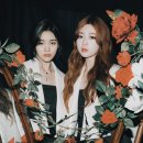 아샤트리 카카오 검색결과
