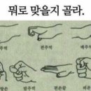 솔이네 이미지