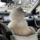 월산점 현대자동차 | 아반떼 cn7 후기🍥 아방아 내게로 와 ..