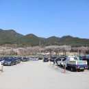 송해공원 제3주차장(2) 이미지