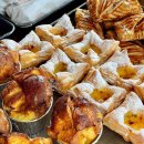 거미상회 이미지