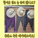 하동 730 | 경남촌캉스 하동숙소 신상독채펜션 하동730 솔직후기