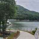 자연-이미지 이미지