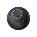 테라피트 이미지