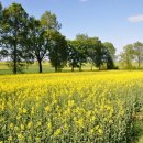 광도한의원 이미지