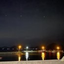 플로리다 봉봉 이미지