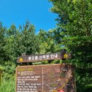 신산교차로 1 이미지