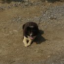 구정염소농장 이미지