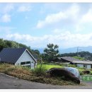 숲속마을 이미지