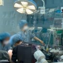 뉴엘동물의료센터 이미지