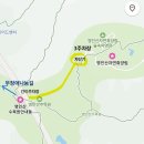 아산 영인산 자연휴양림 무장애길: 휠체어도 즐기는 초록빛 숲캉스 팁